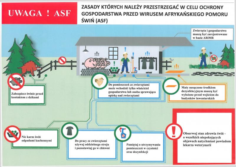 UWAGA!!! ZAGROŻENIE ASF!!!