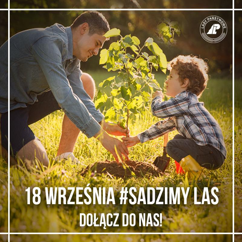 #sadziMY 2020