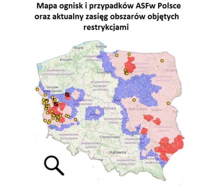 Zmiana obszarów objętych ograniczeniami w związku z ASF