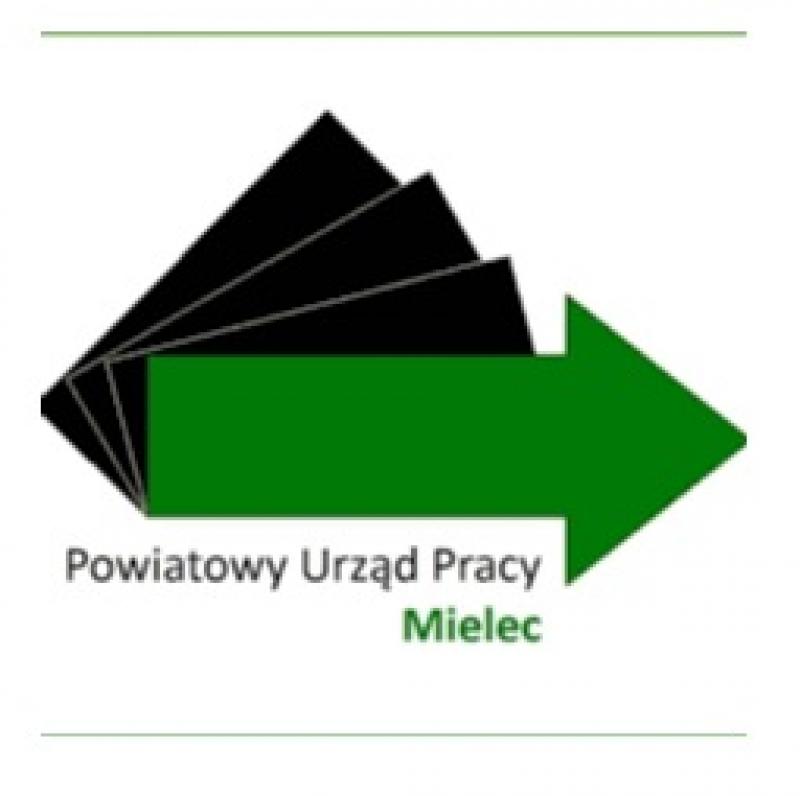 Nabór wniosków o organizację prac interwencyjnych w ramach projektu pn. Aktywizacja 30+