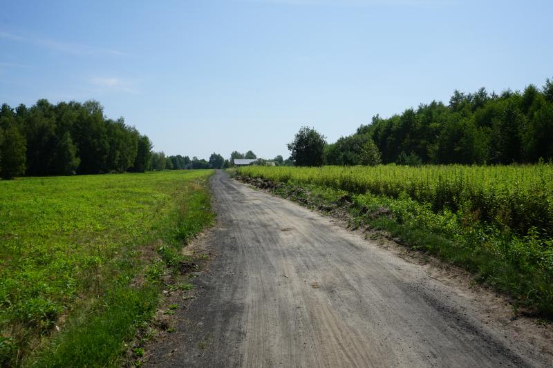 Modernizacja drogi dojazdowej do gruntów rolnych w Błoniu