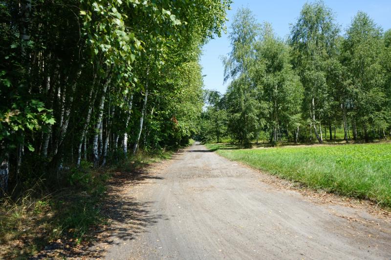 Modernizacja drogi dojazdowej do gruntów rolnych w Błoniu