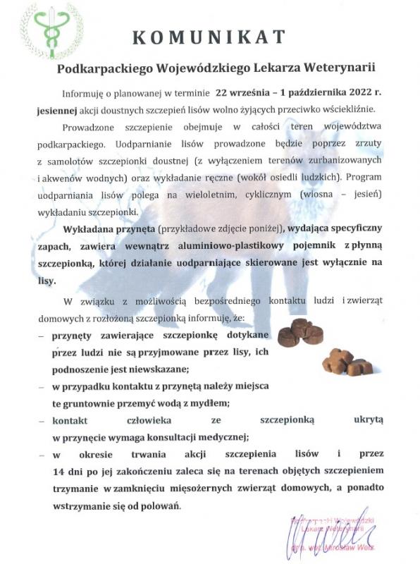 Informacja ws. planowanych sczepień lisów wolno żyjących