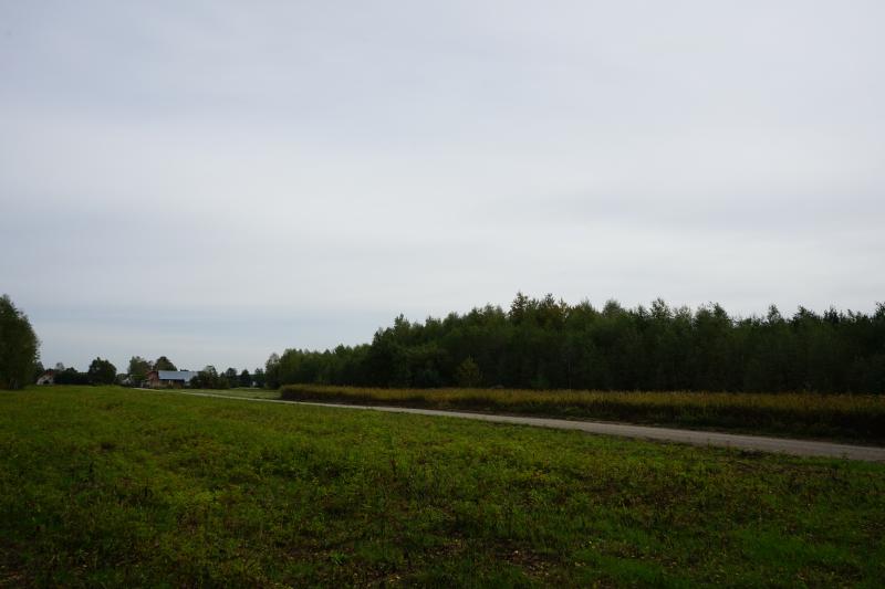 Modernizacja drogi dojazdowej do gruntów rolnych w Błoniu zakończona