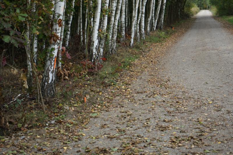 Modernizacja drogi dojazdowej do gruntów rolnych w Błoniu zakończona