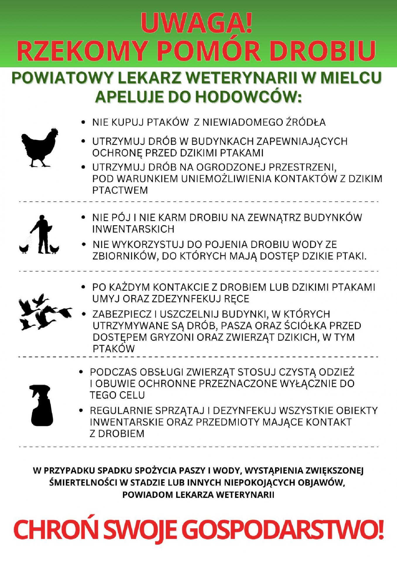 UWAGA! RZEKOMY POMÓR DROBIU
