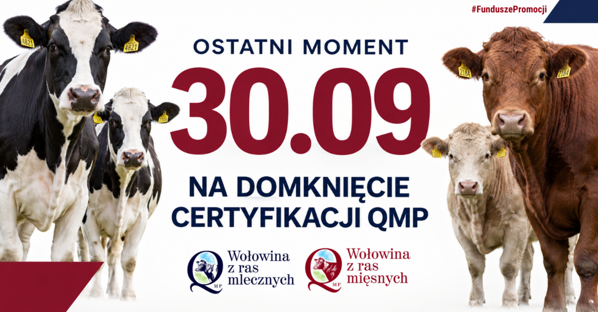 Ostatni moment 30.09 na dopięcie certyfikacji QMP