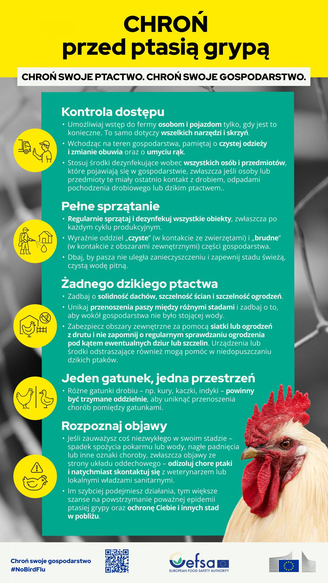 UWAGA HODOWCY DROBIU! Zjadliwa grypa ptaków!